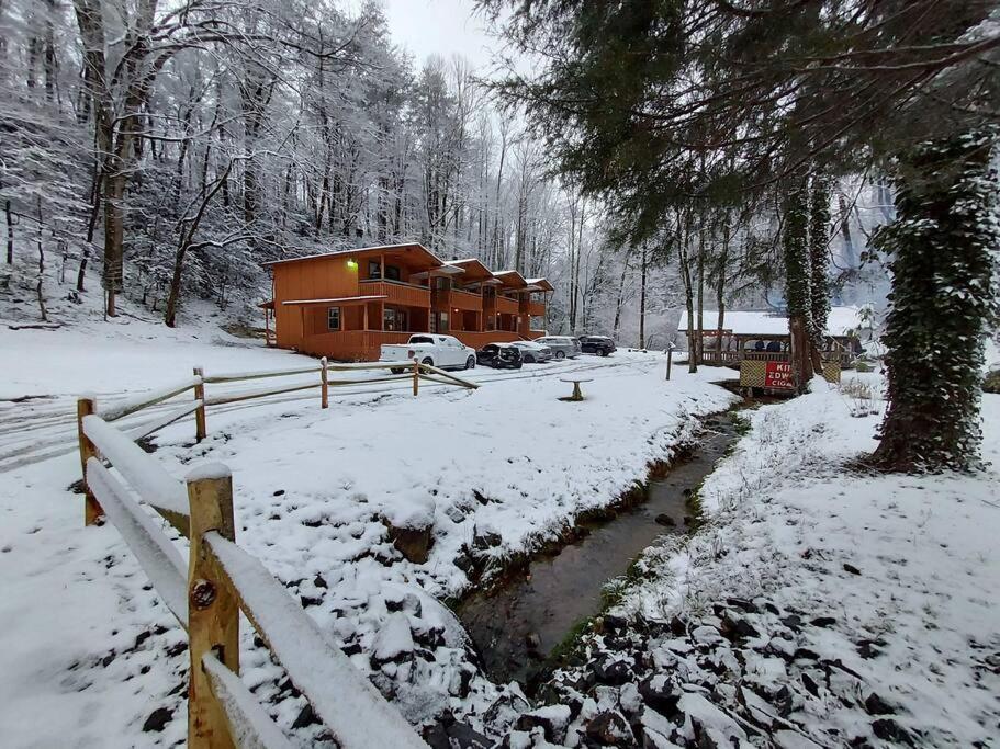 Cute Cabin Creek & Firepit #12 Helen Exterior foto